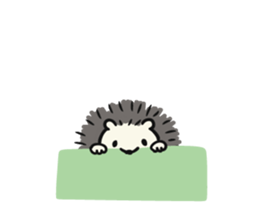 hedgehog gray sticker #8616315