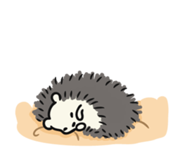 hedgehog gray sticker #8616325