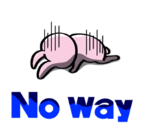 Rabbits & Turtles sticker #8618010