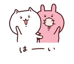 Nyanpachi and rabbit everyday sticker sticker #8618248
