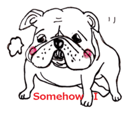 bulldog (english ver.) sticker #8619588