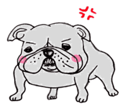 bulldog (english ver.) sticker #8619594