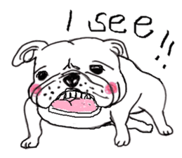 bulldog (english ver.) sticker #8619597