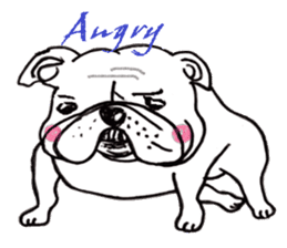 bulldog (english ver.) sticker #8619611