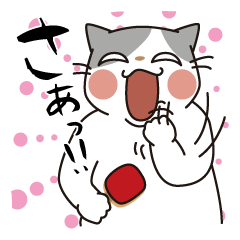 OBAKAWA cat C'eC.Second edition