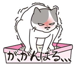 OBAKAWA cat C'eC.Second edition sticker #8620592