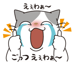 OBAKAWA cat C'eC.Second edition sticker #8620601