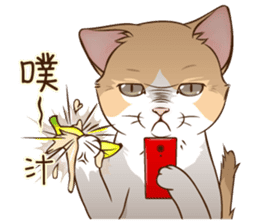 Cutee-small cat sticker #8621258