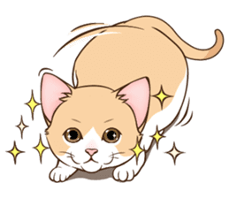 Cutee-small cat sticker #8621298