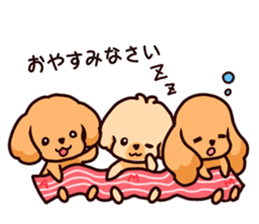 Story of seven colors Toy Poodle #2 sticker #8621629