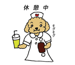 poodle nurse sticker #8622204