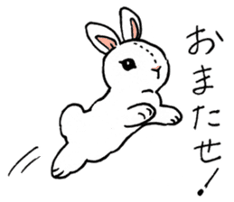Schinako's My Lovely White Bunny sticker #8622263