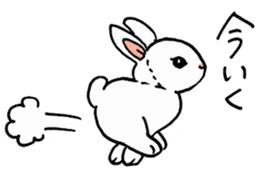 Schinako's My Lovely White Bunny sticker #8622268