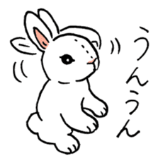 Schinako's My Lovely White Bunny sticker #8622294