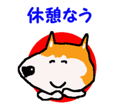 Shiba inu MOMO chan the third as well! 9 sticker #8623698