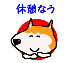 Shiba inu MOMO chan the third as well! 9 sticker #8623698