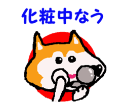 Shiba inu MOMO chan the third as well! 9 sticker #8623699