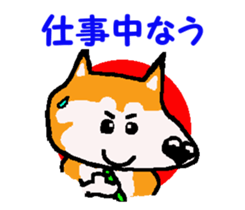 Shiba inu MOMO chan the third as well! 9 sticker #8623702