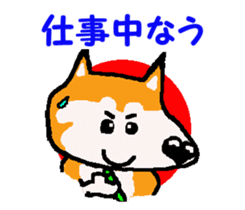Shiba inu MOMO chan the third as well! 9 sticker #8623702