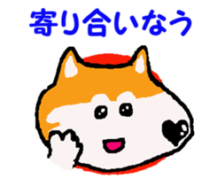 Shiba inu MOMO chan the third as well! 9 sticker #8623704