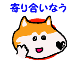 Shiba inu MOMO chan the third as well! 9 sticker #8623704