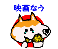 Shiba inu MOMO chan the third as well! 9 sticker #8623708
