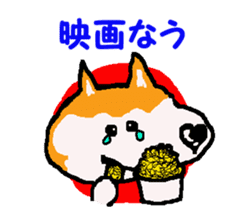 Shiba inu MOMO chan the third as well! 9 sticker #8623708