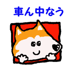 Shiba inu MOMO chan the third as well! 9 sticker #8623711