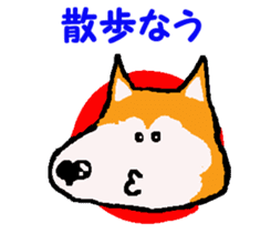 Shiba inu MOMO chan the third as well! 9 sticker #8623712