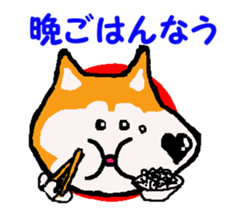 Shiba inu MOMO chan the third as well! 9 sticker #8623713