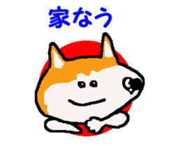 Shiba inu MOMO chan the third as well! 9 sticker #8623715