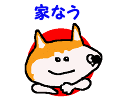 Shiba inu MOMO chan the third as well! 9 sticker #8623715