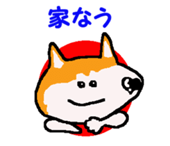 Shiba inu MOMO chan the third as well! 9 sticker #8623715
