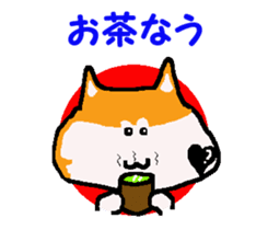 Shiba inu MOMO chan the third as well! 9 sticker #8623717
