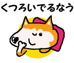 Shiba inu MOMO chan the third as well! 9 sticker #8623720