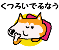 Shiba inu MOMO chan the third as well! 9 sticker #8623720