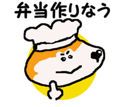 Shiba inu MOMO chan the third as well! 9 sticker #8623721