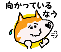Shiba inu MOMO chan the third as well! 9 sticker #8623723