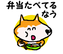 Shiba inu MOMO chan the third as well! 9 sticker #8623728