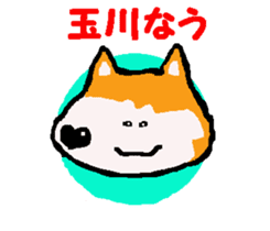 Shiba inu MOMO chan the third as well! 9 sticker #8623732