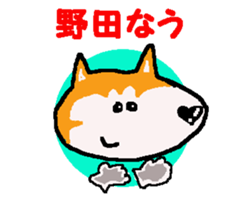 Shiba inu MOMO chan the third as well! 9 sticker #8623733