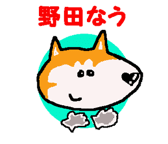 Shiba inu MOMO chan the third as well! 9 sticker #8623733
