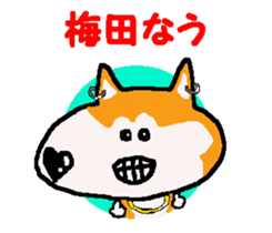 Shiba inu MOMO chan the third as well! 9 sticker #8623734