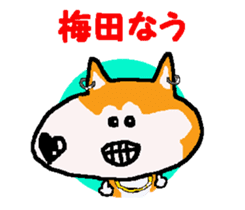 Shiba inu MOMO chan the third as well! 9 sticker #8623734