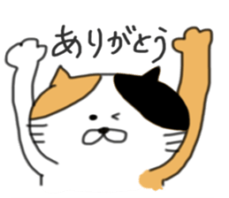 5 pretty cats sticker #8623819