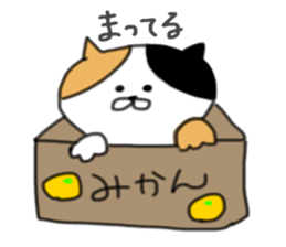 5 pretty cats sticker #8623823