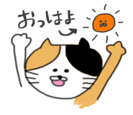 5 pretty cats sticker #8623825