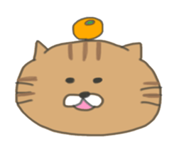 5 pretty cats sticker #8623838