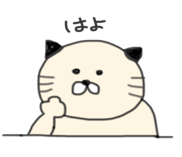5 pretty cats sticker #8623850