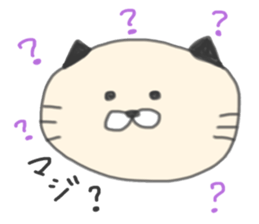 5 pretty cats sticker #8623851